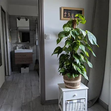 Villa House With Pool In Alpilles Saint-Etienne-du-Gres
